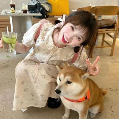 重金属囧途
